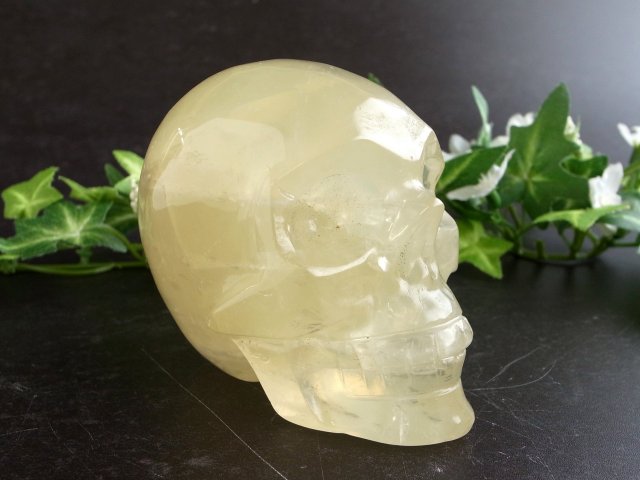 クールなスカルヘッド シトリン ドクロ彫刻置物 最大幅約83mm 重さ約448g 生命の再生を象徴するモチーフ 秀逸 一刀一石彫り 一点物