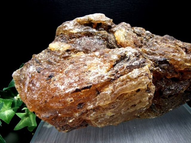 ロイヤルアンバー 不規則な形状 一部が切り取られた ロイヤルアンバー 不規則な形状 一部が切り取られた ロイヤルアンバー