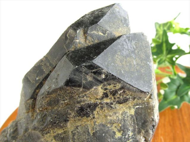 天然の黒光り 天然 黒水晶 モリオン クラスター原石 重さ504g 最大幅約114mm 大自然の力強さを感じる漆黒の水晶 どっしりとした太め結晶