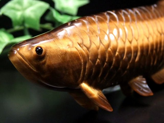 美しいゴールドのシラー アロワナ タイガーアイ 置物 台座付き 幅約117mm 約171g 虎目石 龍魚と呼ばれる古代魚 権力や繁栄、事業の発展の意味を持つモチーフ