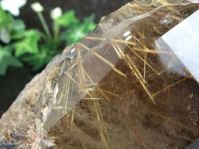 天然　太陽放射ゴールドタイチンルチル　ポリッシュ原石 天然 太陽放射ゴールドタイチンルチル ポリッシュ原石 立体・オブジェ