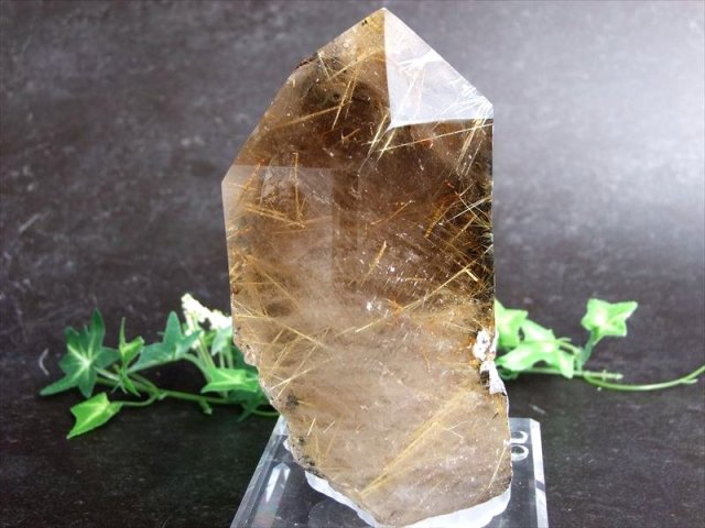 迫力の母岩残し 5A ゴールドタイチンルチルクォーツ 半面ポリッシュ