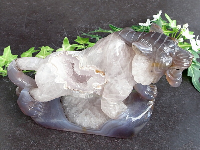 店頭展示中 笑口瑪瑙に宿る森の王者の眼光 笑口瑪瑙 トラ 彫刻置物 重さ1144g 幅193mm メノウ アゲート ジオード 瑪瑙&水晶 福運をもたらす笑顔の石