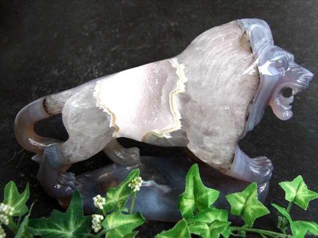 店頭展示中 獅子が運ぶ強運と勝利 笑口瑪瑙 ライオン 彫刻置物 重さ1195g 幅191mm メノウ アゲート ジオード 瑪瑙&水晶 福運をもたらす笑顔の石 極上一点物