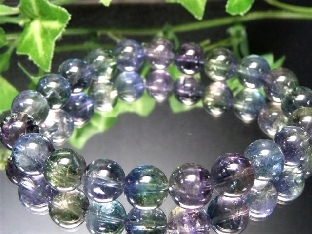 店頭展示中 過去最高品質 くっきりバイカラー S級 バイカラー