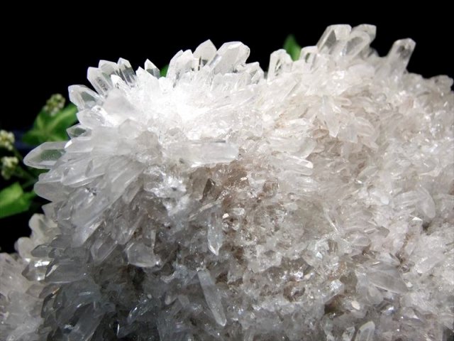 5A 超透明花咲き結晶 四川 フラワー水晶 クラスター 専用台座付 最大幅