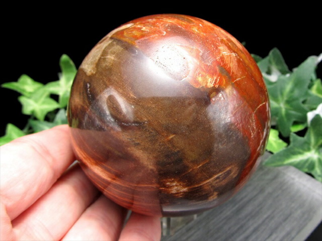 自然の神秘 珪化木 ペトリファイドウッド 丸玉 台座付 重さ599g 直径