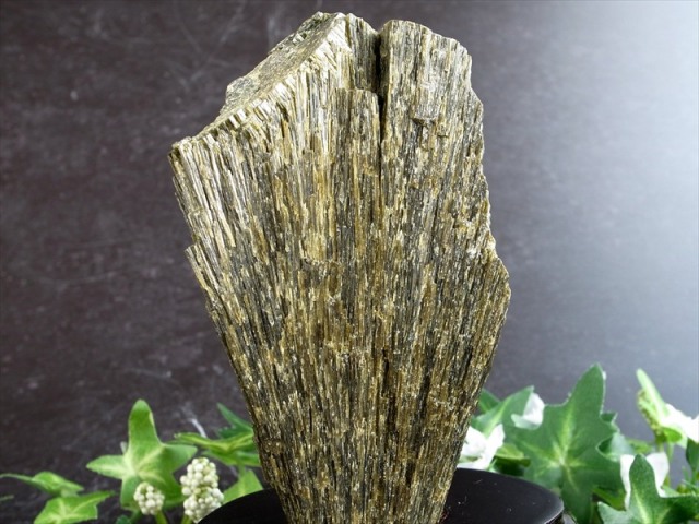 深緑が息づく 森のエネルギー結晶 グリーン ゾイサイト 原石 木製専用台座付 高さ 140mm 重さ597g グリーンゾイサイト原石が育む 心と空間の豊かさ