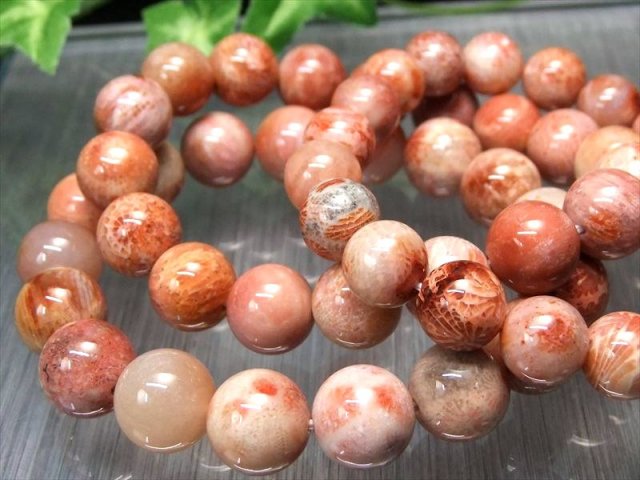 コーラル 珊瑚 ブレスレット 約11.5mm-12mm×17珠前後 生命力 健康 長寿