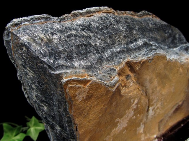 ツートンタイガーアイ 原石 置物 木製専用台座付 幅210mm 重さ1203g シラー効果 ゴールド&ブルー バイカラー 力と財力の象徴 虎目石 一点もの 南アフリカ産