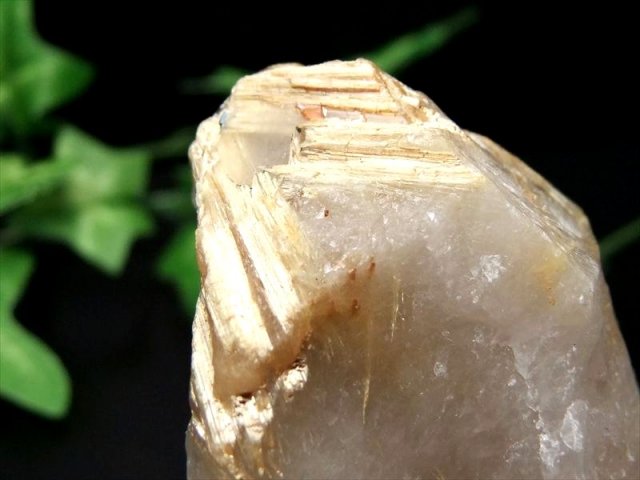 激レア・剥き出し太陽タイチン針 太陽タイチンゴールドルチル 原石 最