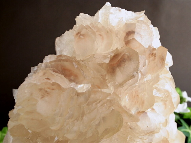 初入荷 可愛らしい茸のような結晶 カルサイト 方解石 クラスター 専用木製台座付 サイズ179mm×101mm 重さ1399g 艶感抜群 極上光沢 赤みを帯びた透明結晶