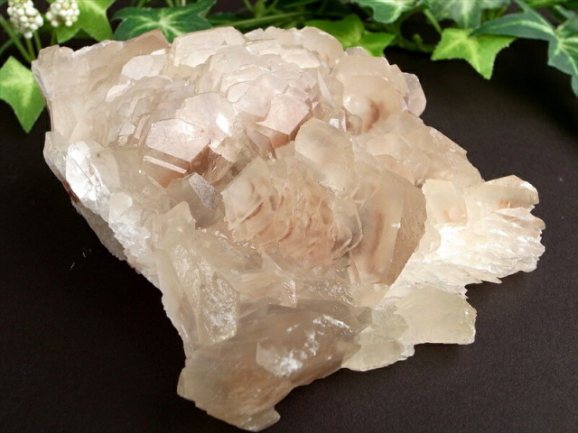 初入荷 可愛らしい茸のような結晶 カルサイト 方解石 クラスター 最大幅113mm 重さ410g 艶感抜群 極上光沢 赤みを帯びた透明結晶 繁栄・成功・希望を表す石