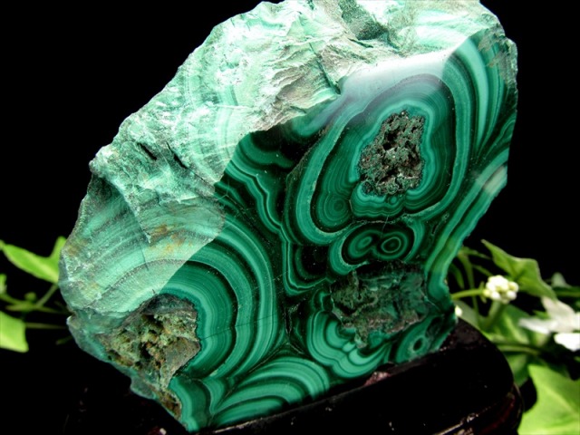 マラカイト ポリッシュ原石 専用木製台座付き 高さ約121mm 重さ約317g 美麗繊細天眼模様 深みのあるグリーン 魔除け 肉体と精神を癒す石 一点物 コンゴ産