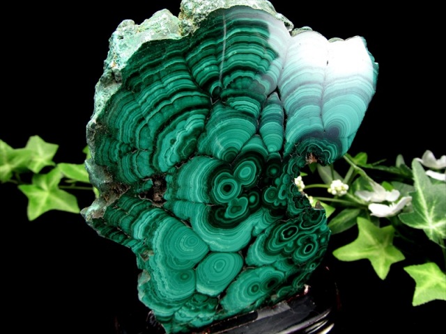 マラカイト ポリッシュ原石 専用木製台座付き 高さ約151mm 重さ約369g 美麗繊細天眼模様 深みのあるグリーン 魔除け 肉体と精神を癒す石 一点物 コンゴ産