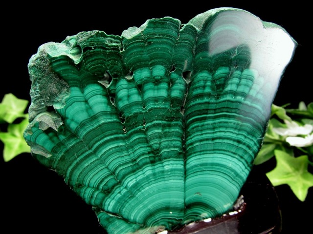 マラカイト ポリッシュ原石 専用木製台座付き 高さ約117mm 重さ約373g 美麗繊細天眼模様 深みのあるグリーン 魔除け 肉体と精神を癒す石 一点物 コンゴ産