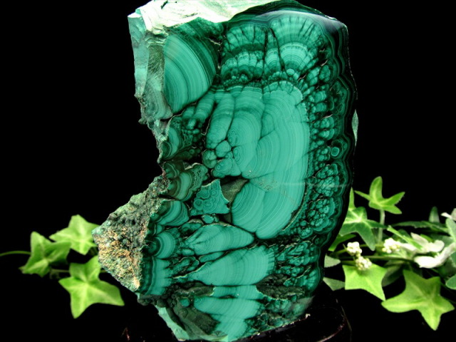 マラカイト ポリッシュ原石 専用木製台座付き 高さ約103mm 重さ約459g 美麗繊細天眼模様 深みのあるグリーン 魔除け 肉体と精神を癒す石 一点物 コンゴ産