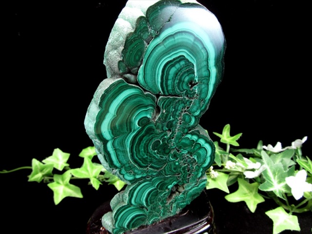 マラカイト ポリッシュ原石 専用木製台座付き 高さ約110mm 重さ約477g 美麗繊細天眼模様 深みのあるグリーン 魔除け 肉体と精神を癒す石 一点物 コンゴ産