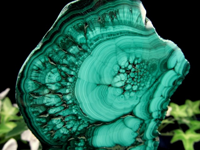 マラカイト ポリッシュ原石 専用木製台座付き 高さ約148mm 重さ約386g 美麗繊細天眼模様 深みのあるグリーン 魔除け 肉体と精神を癒す石 一点物 コンゴ産