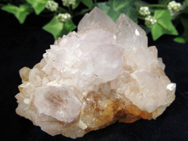 ヒーラーに大人気 4A カクタス アメジスト クラスター原石 最大幅 78mm 重さ 204g 精霊の宿る水晶 紫水晶 サボテンアメジスト 2月 誕生石 1点もの