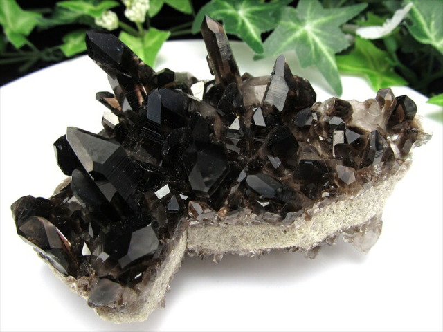 待望の再入荷 アメリカ・アーカンソー州産 黒水晶 モリオン クラスター