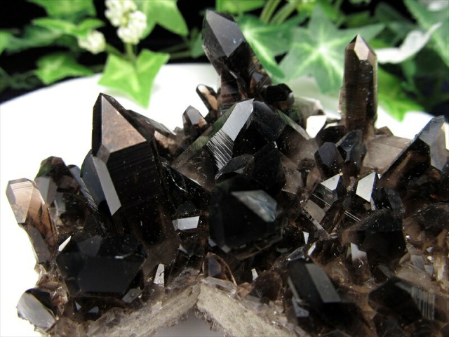 待望の再入荷 アメリカ・アーカンソー州産 黒水晶 モリオン クラスター