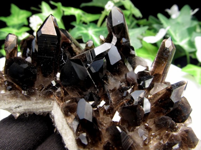 待望の再入荷 アメリカ・アーカンソー州産 黒水晶 モリオン クラスター