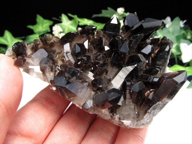 待望の再入荷 アメリカ・アーカンソー州産 黒水晶 モリオン クラスター