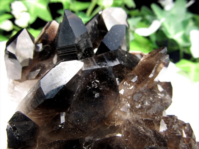 待望の再入荷 アーカンソー州産 モリオン結晶クラスター 最大幅約112mm 重さ230g 最強の魔除け・邪気払いの石 1点物 艶々極上 黒水晶 アーカンソー州産