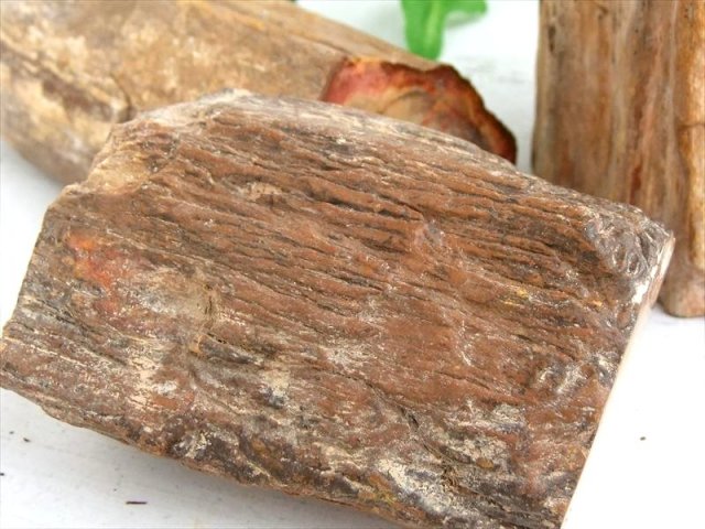 一面磨き 珪化木 ペトリファイドウッド 原石 重さ300g-400g 1個売り