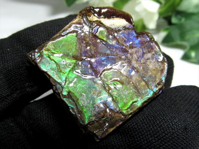 4A アンモライト 原石 最大幅27mm 重さ9.7g 1点物 生物起源の宝石 幸運を呼び込む石 極上一点物 カナダ産 パワーストーン 天然石