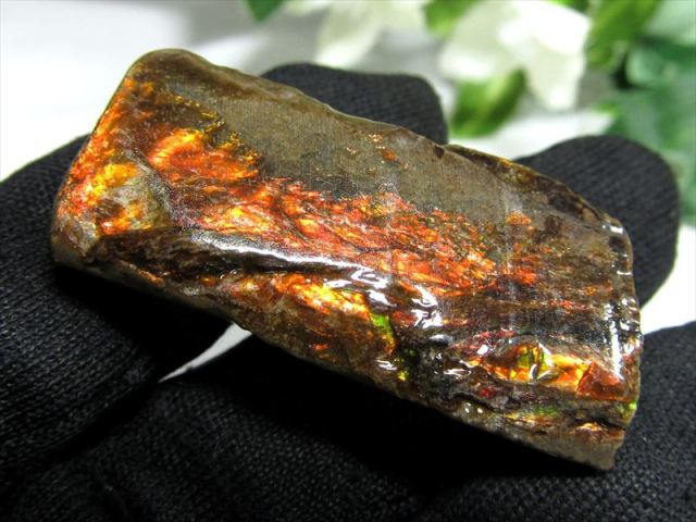 4A アンモライト 原石 最大幅35.5mm 重さ7.9g 1点物 生物起源の宝石