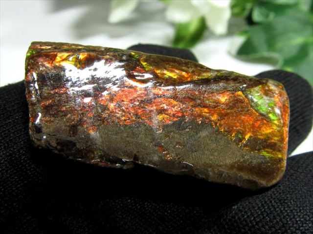 4A アンモライト 原石 最大幅35.5mm 重さ7.9g 1点物 生物起源の宝石