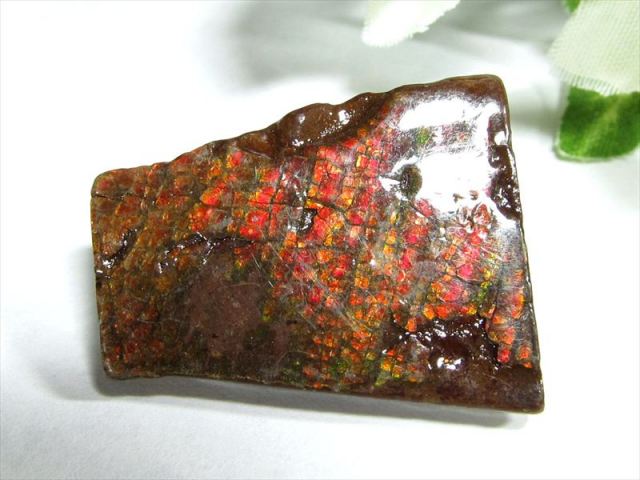 4A アンモライト ドラゴンスキン 竜の鱗 原石 最大幅29mm 重さ5.4g 1点物 生物起源の宝石 幸運を呼び込む石 極上一点物 カナダ産 パワーストーン 天然石