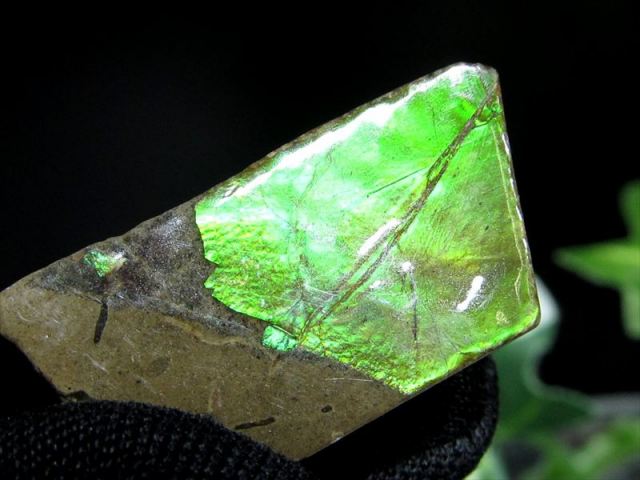 4A アンモライト 原石 最大幅27mm 重さ5.2g 1点物 生物起源の宝石 幸運を呼び込む石 極上一点物 カナダ産 パワーストーン 天然石