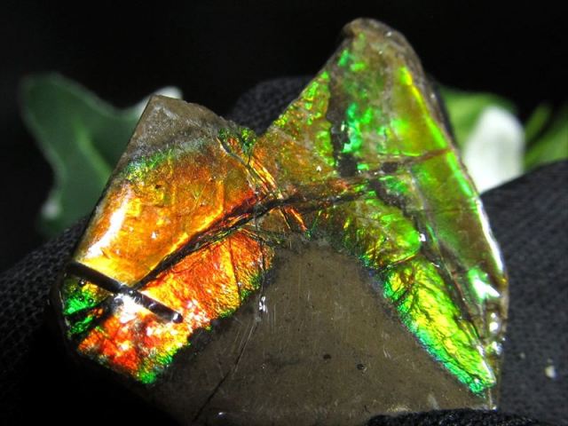 4A アンモライト 原石 最大幅24.5mm 重さ4.4g 1点物 生物起源の宝石 幸運を呼び込む石 極上一点物 カナダ産 パワーストーン 天然石