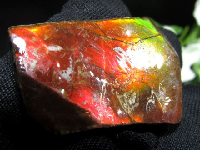 4A アンモライト 原石 最大幅32mm 重さ4.3g 1点物 生物起源の宝石 幸運を呼び込む石 極上一点物 カナダ産 パワーストーン 天然石