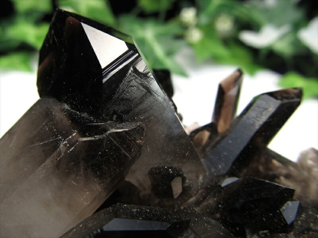 待望の再入荷 アーカンソー州産 モリオン結晶クラスター 最大幅約103mm 重さ190g 最強の魔除け・邪気払いの石 1点物 艶々極上 黒水晶 アーカンソー州産