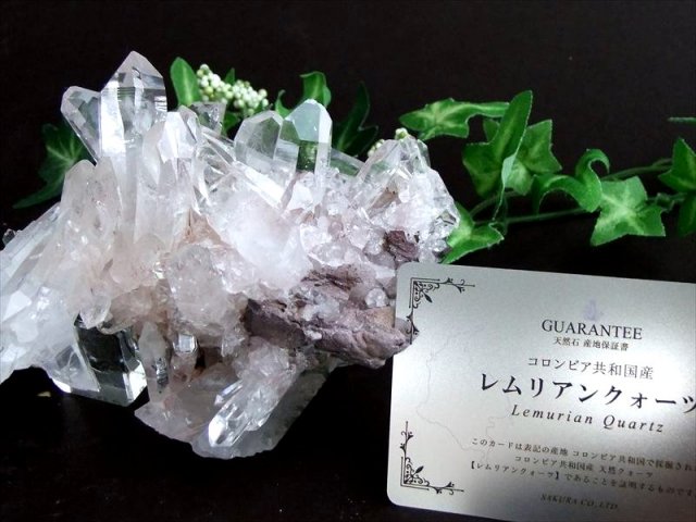 ギャランティカード付 幻の逸品 希少 ほんのりピンク 抜群の透明度 ピンク レムリアン 水晶 クラスター 最大幅 約125mm 重さ 390.5g