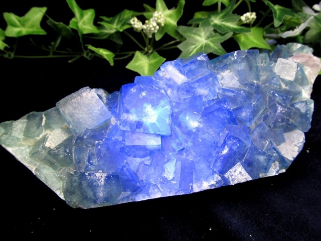 幻のグリーンが 闇夜に青く輝く 蛍光 フローライト クラスター原石 重さ612.3g 最大幅約184mm マダガスカル産 蛍光フローライトの奇跡 魅惑の逸品