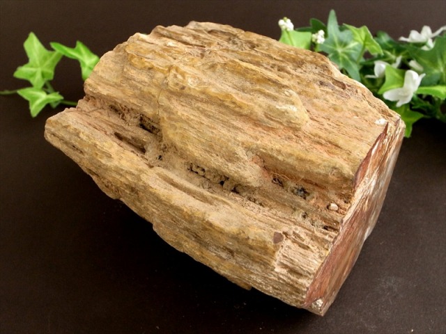 一面磨き 珪化木 ペトリファイドウッド 原石 最大幅 108mm 重さ 1410g