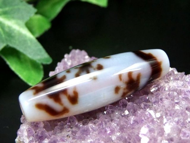 待望の白天珠入荷 五本爪 龍神 白天珠 りゅうじんしろてんじゅ サイズ