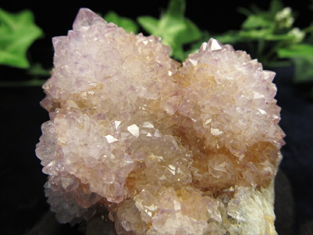 希少 天然アメトリン 5A カクタス アメトリン クラスター原石 最大幅 52mm 重さ 120g 美結晶 愛の守護石 精霊の宿る水晶 紫水晶 サボテンアメジスト 2月