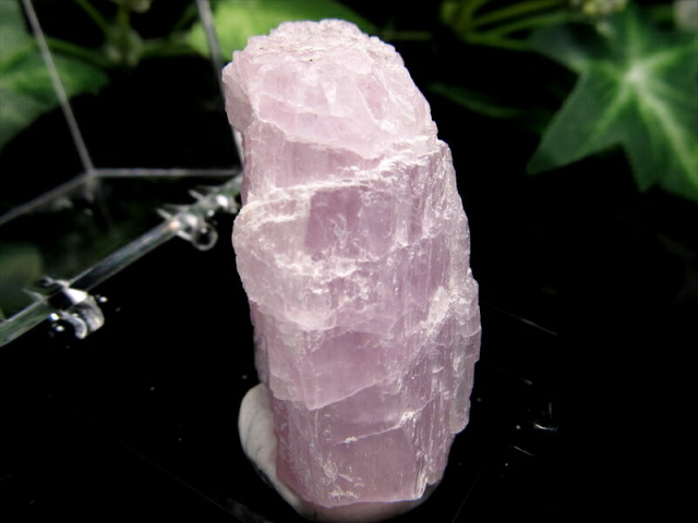 コレクションケース付 クンツァイト 原石 重さ19.2g コレクションや標本に 純粋さと無償の愛の象徴 リチア輝石 パキスタン産 パワーストーン 天然石