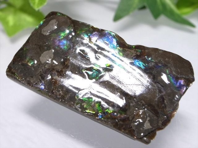 3A アンモライト 原石 最大幅約41mm 重さ約18.2g 1点物 生物起源の宝石