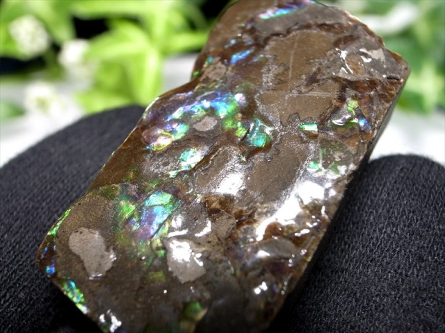3A アンモライト 原石 最大幅約41mm 重さ約18.2g 1点物 生物起源の宝石