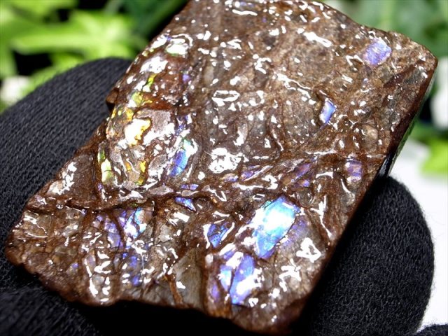 3A アンモライト ドラゴンスキン 竜の鱗 原石 最大幅約40mm 重さ約17.5g 1点物 生物起源の宝石 幸運を呼び込む石 極上一点物 カナダ産 パワーストーン 天然石