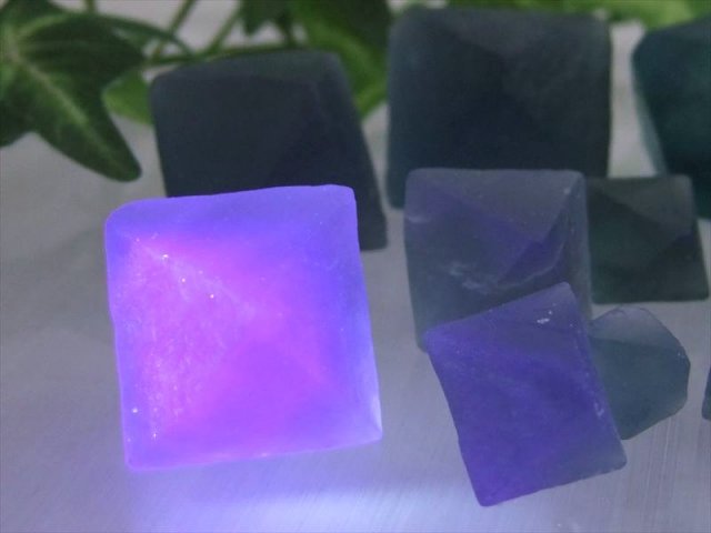 蛍光 ブルーフローライト 8面体結晶 約50gセット 幅約6mm-25mm 幻想的