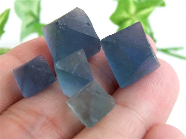 蛍光 ブルーフローライト 8面体結晶 約50gセット 幅約6mm-25mm 幻想的