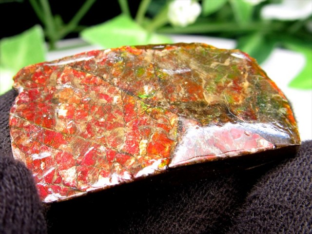 4A アンモライト ドラゴンスキン 竜の鱗 原石 最大幅約33mm 重さ約4.5g 1点物 生物起源の宝石 幸運を呼び込む石 極上一点物 カナダ産 パワーストーン 天然石